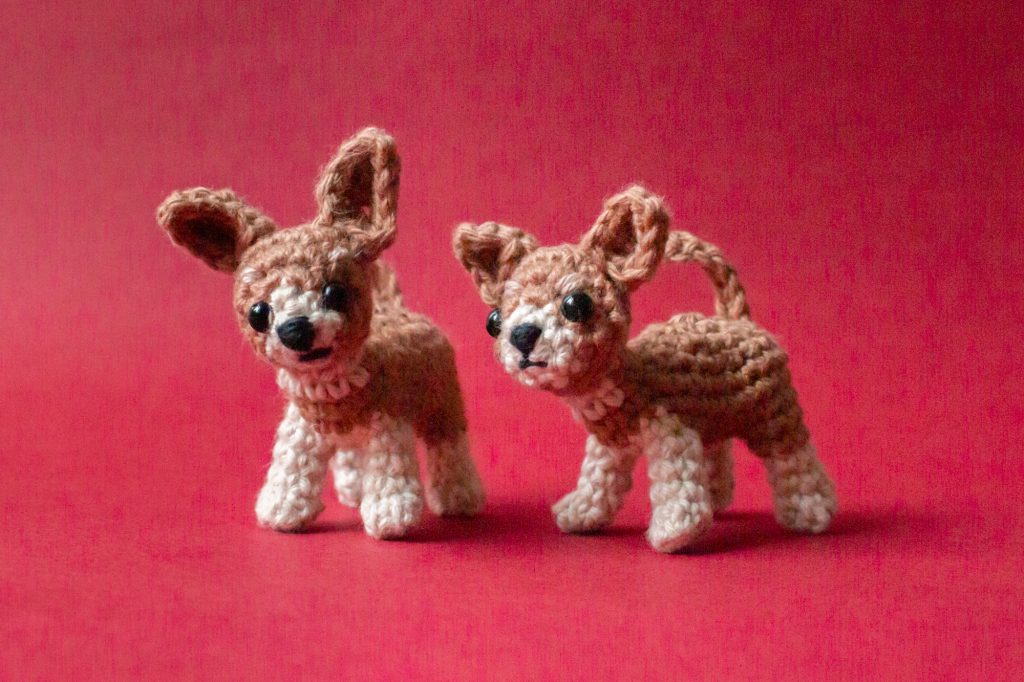 Chihuahua free crochet pattern-2