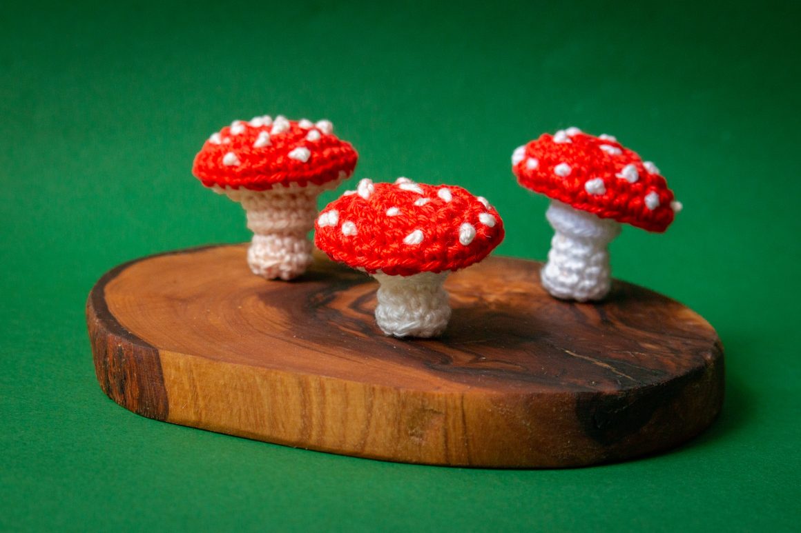 Mushroom Crochet Pattern