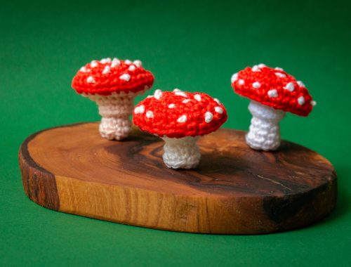 Mushroom Crochet Pattern